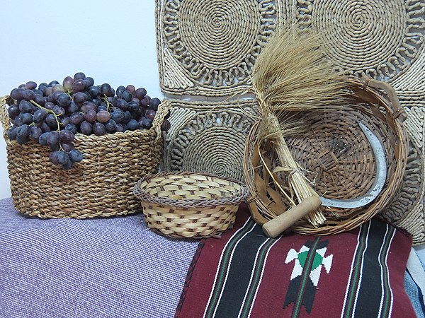 Harvested grapes in basket and reaped barley
