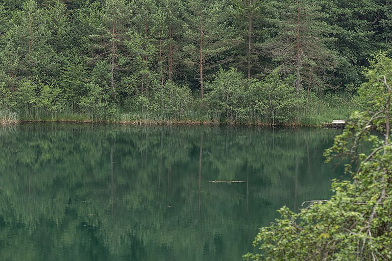 File:Bassgeigensee - Dobeinitz Kärnten-9357.jpg