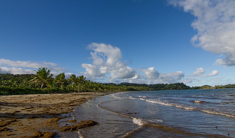 800px-Beach_near_Navua,_Fiji_01.jpg (800×469)