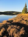 Čeština: Bedřichovská přehrada nedaleko Bedřichova v Jizerských horách, okres Jablonec nad Nisou - ČR English: Bedřichov Reservoir near Bedřichov in Jizera Mountains, Jablonec nad Nisou District in Czech Republic