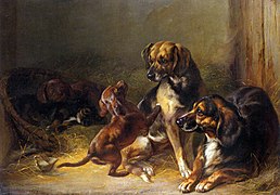 Cães e Filhotes (1853)