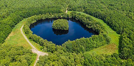 BerumerfehnerMoor Koenigskeil 2020 16 msu 