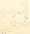 Biochemistry of plants and animals, an introduction (1960) (20184919509).jpg