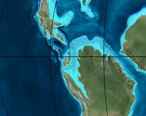 Since about 110 million years ago, South America and Africa are detached