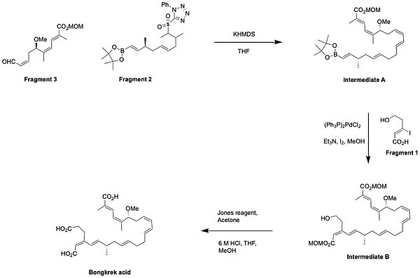 Bongkrek Acid synthesis by Shindo's group in 2009 Bongkrek acid synthesis mechanism.jpg