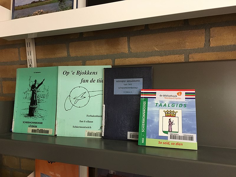 File:Books in Skiermûntseagersk 1.jpg