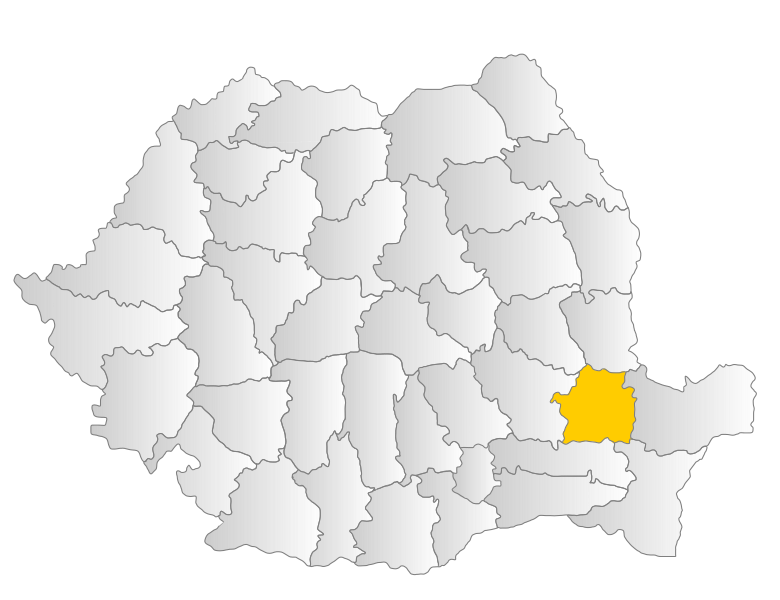 File:Braila.svg