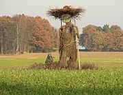 Die mehrere Meter hohe Figur des Brelinger Riesen aus Weidenruten