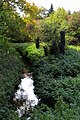 Bachverlauf unterhalb der Broicher Mühle