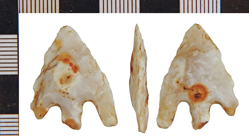 File:Bronze Age Barbed and Tanged Arrowhead (FindID 656556).jpg