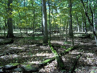 <span class="mw-page-title-main">Ned Brown Forest Preserve</span> Forest preserve in Cook County, Illinois