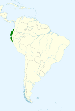 Campephilus gayaquilensis map.svg