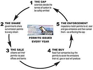 A diagram which sets out the basic process of 'classic' Cap and Share Capandshare02outline.jpg