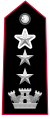 Carabinieri Colonnello a titolo onorifico.svg