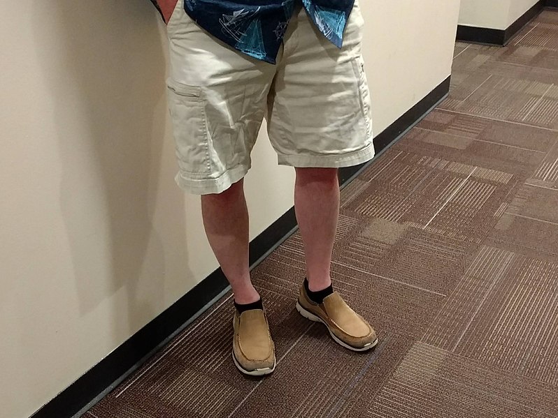 File:Cargo Shorts 2018.jpg