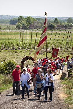 Pilgrimage of Carrizo de la Ribera