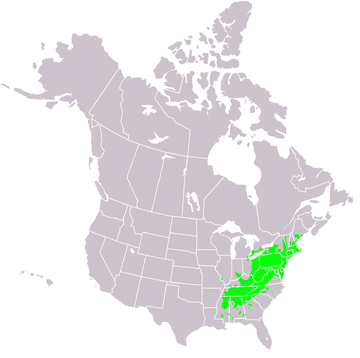 File:Castanea dentata range map.PNG