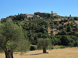 Castelnuovo dell'Abate - Vedere