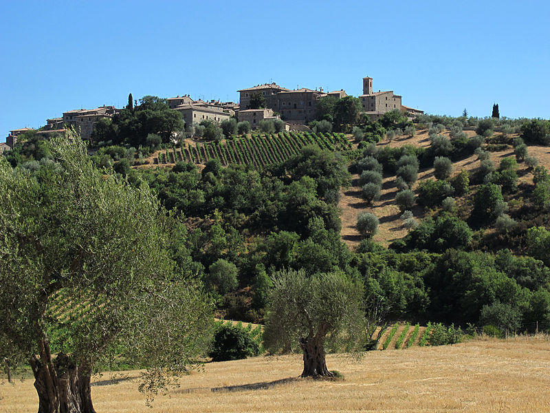 File:Castelnuovo dell'abate, veduta.JPG