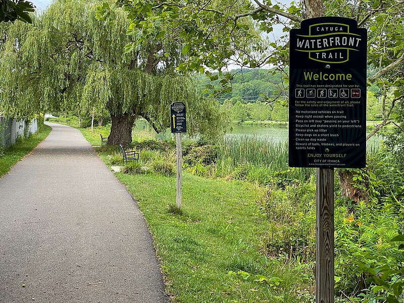 File:Cayuga Waterfront Trail, Ithaca New York.jpg