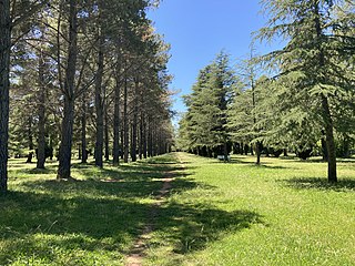 <span class="mw-page-title-main">Haig Park</span>