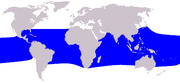 Cetacea range map Fraser'sDolphin.png