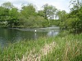 Thumbnail for File:Chalfont St Peter, Chalfont Park Lake (2) - geograph.org.uk - 4563468.jpg