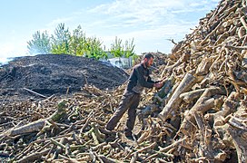 Charcoal maker, Karataş - Adana 03.jpg