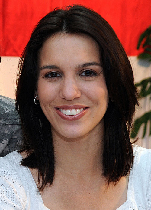 Christy Carlson Romano, voice of Kim Possible.