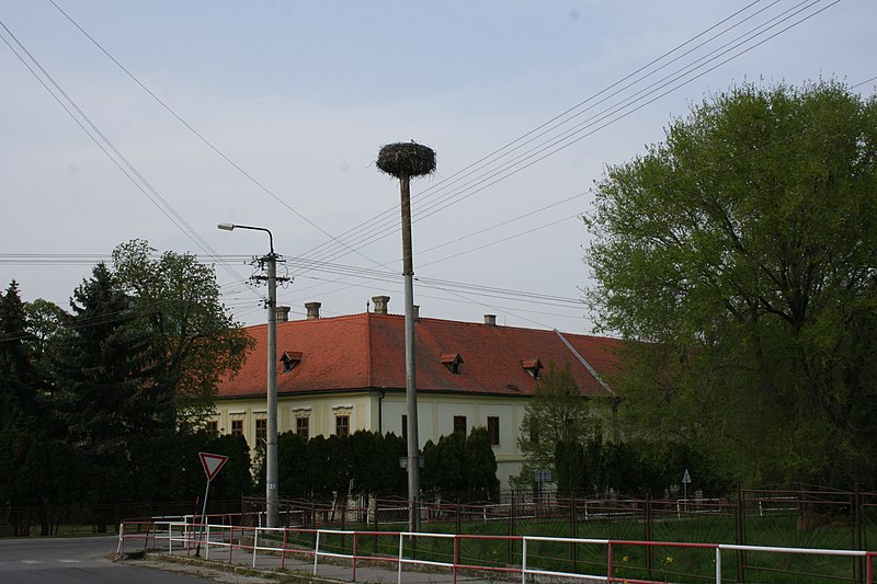 File:Ciconia ciconia nest Maňa 1 20140406.JPG