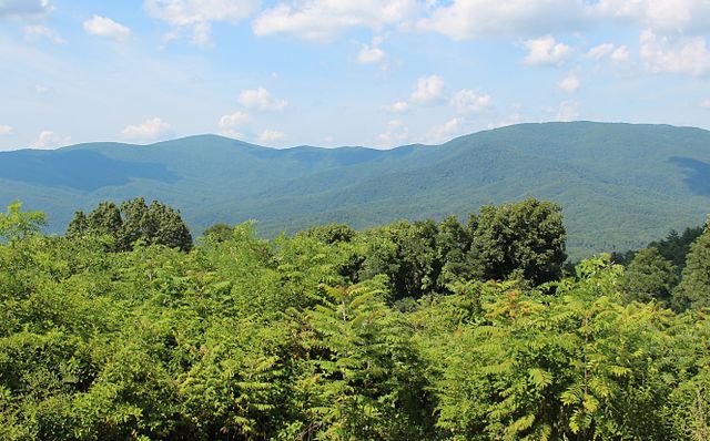 Cohutta Mountains