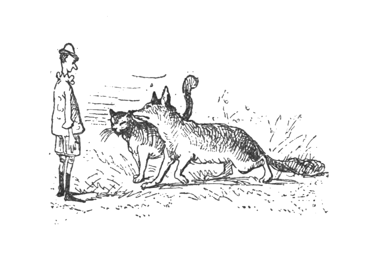 Bad Cat - Wikipedia