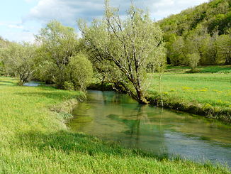 The Coly at La Cassagne