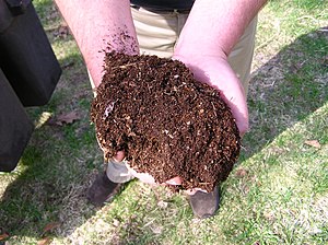 English: A picture of compost soil