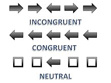 Incongruent, congruent, and neutral stimuli represented by arrows. This is what a participant may see in a standard Eriksen Flanker Task Congruent, Incongruent, and Neutral Flanker stimuli.jpg