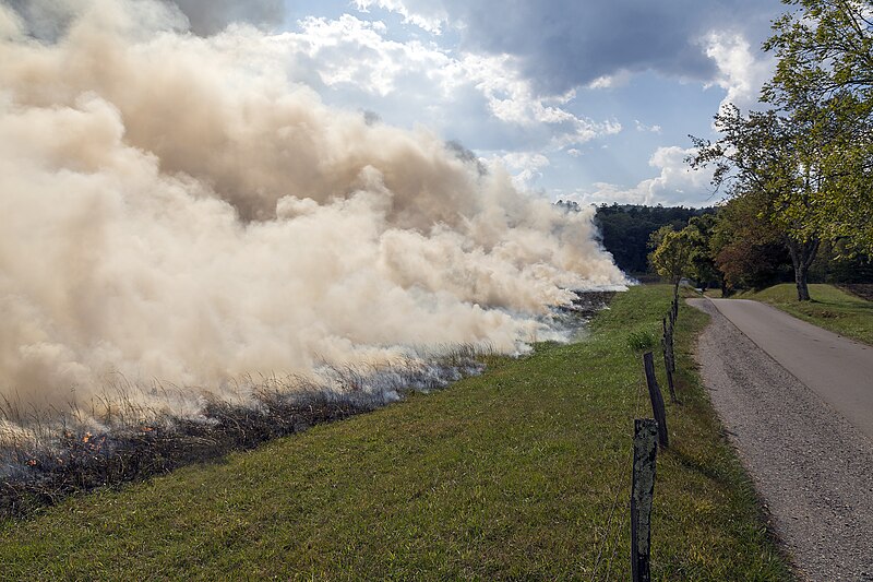 File:Controlled burn Cades Cove GSMNP TN1.jpg