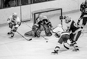 Cornell Big Red Men's Ice Hockey