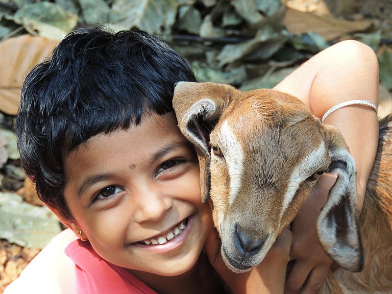 File:Cute girl with a little lamb.jpg