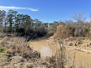 <span class="mw-page-title-main">Cypress Creek (Texas)</span> River in the United States