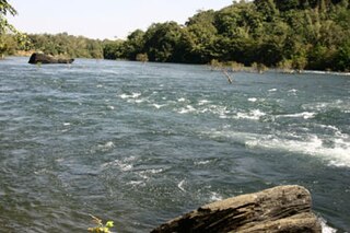 Dandeli,  Karnataka, India