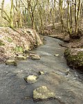 Thumbnail for File:Dean Brook, Dean Wood - geograph.org.uk - 4365652.jpg