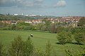 Dearne Valley Country Park - geograph.org.uk - 486245.jpg