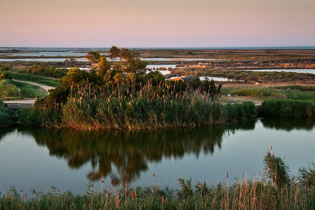 Ebroren Deltako natura parkea