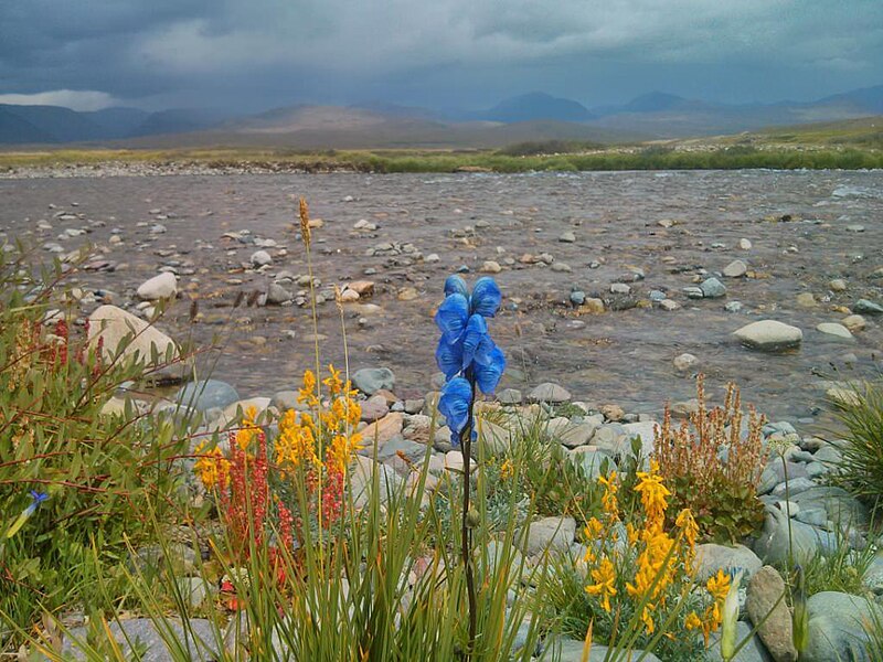 File:Deosai Plains, Skardu, Pakistan.jpg