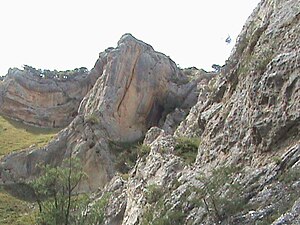 Condado De Castilla: Bardulia y preludio a Castilla, Primeras repoblaciones (791-850), Rodrigo, el primer conde de Castilla (850-873)