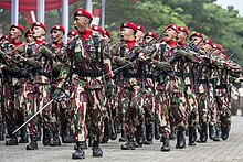 Di-balik-latihan-yang-superberat-ini-gaji-dan-tunjangan-kopassus-fts.jpg