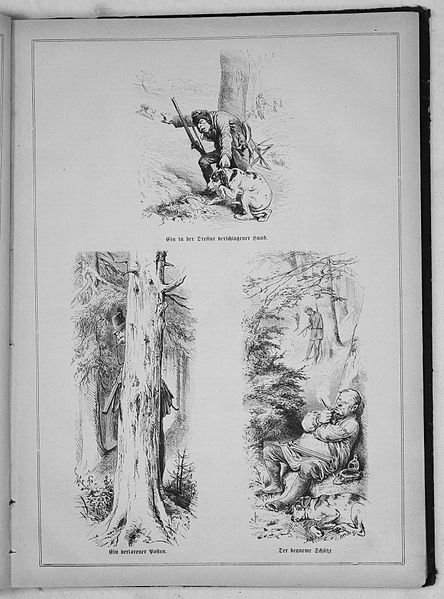 File:Die Gartenlaube (1869) 589.jpg