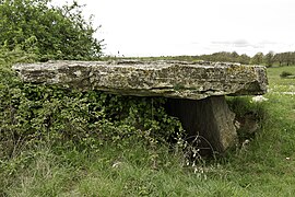 Dolmen de Saplous II 01.jpg