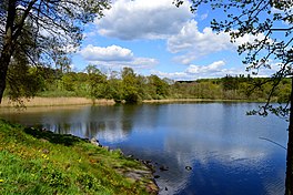 Dreifelder Weiher im Frühling.JPG