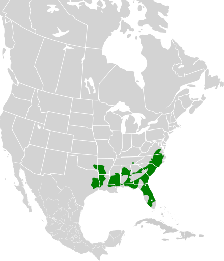 Dryobates borealis map.svg